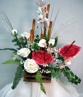 Tropical Arrangement